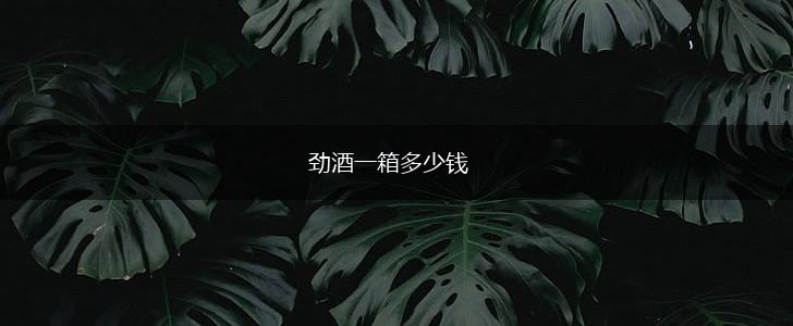 劲酒一箱多少钱,第1张