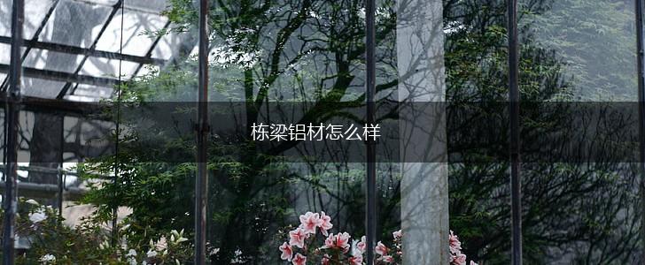 栋梁铝材怎么样,第1张