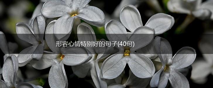 形容心情特别好的句子(40句),第1张