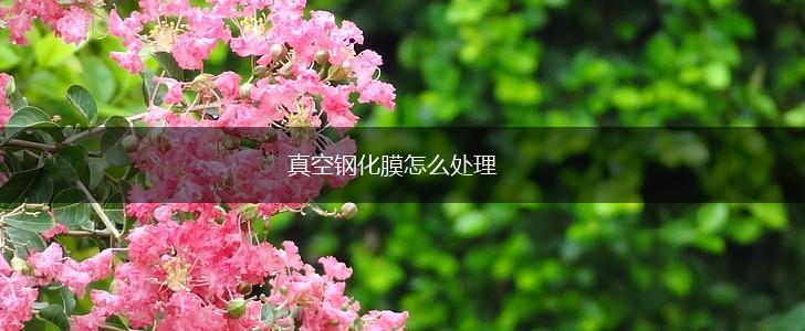 真空钢化膜怎么处理,第1张
