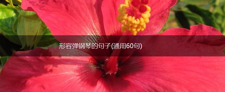 形容弹钢琴的句子(通用60句),第1张