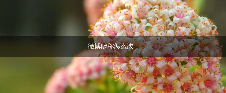 微博昵称怎么改,第1张