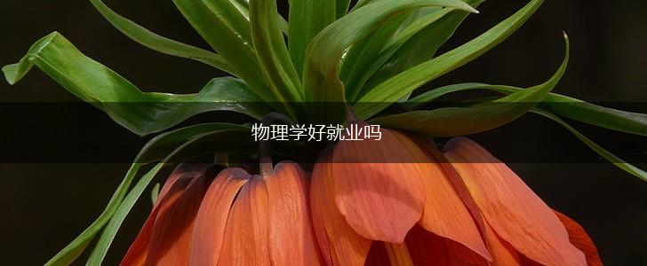 物理学好就业吗,第1张