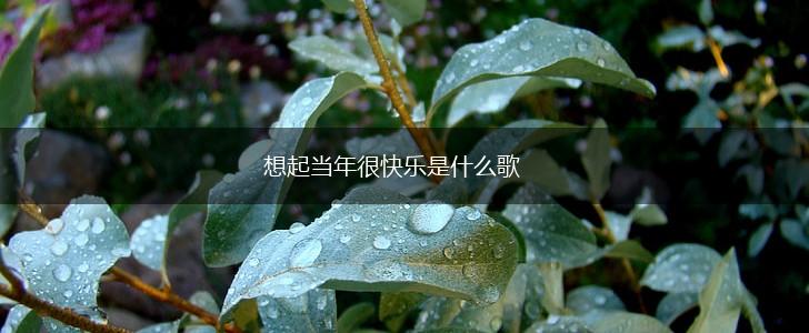 想起当年很快乐是什么歌,第1张