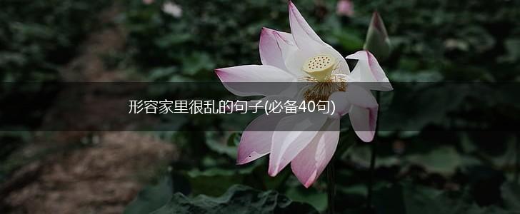 形容家里很乱的句子(必备40句),第1张