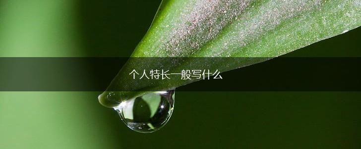 个人特长一般写什么,第1张