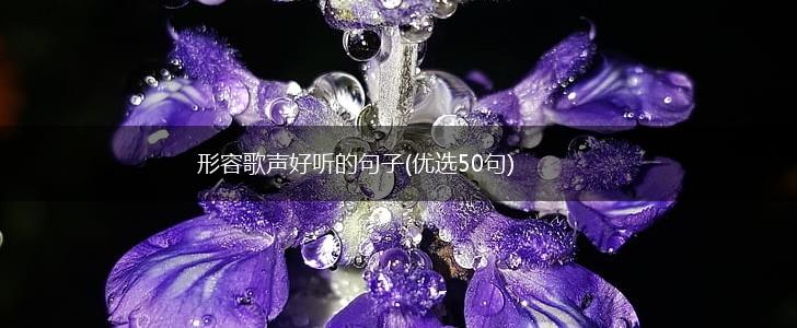 形容歌声好听的句子(优选50句),第1张