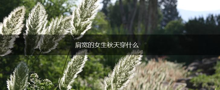 肩宽的女生秋天穿什么,第1张