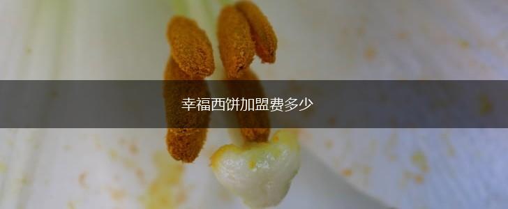 幸福西饼加盟费多少,第1张