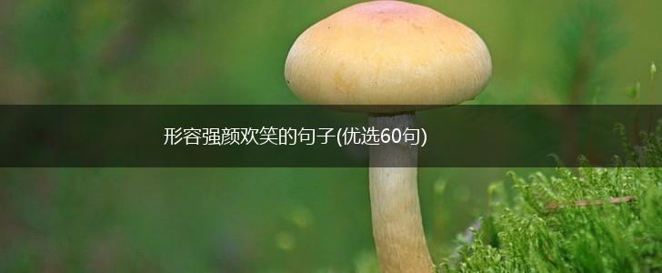 形容强颜欢笑的句子(优选60句),第1张