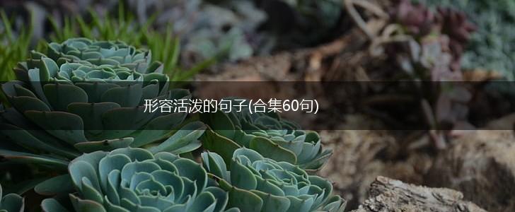 形容活泼的句子(合集60句),第1张