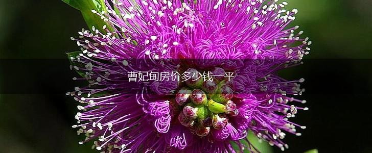 曹妃甸房价多少钱一平,第1张