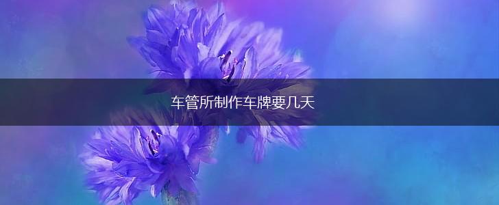 车管所制作车牌要几天,第1张