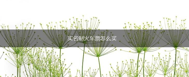 实名制火车票怎么买,第1张