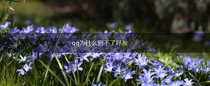 qq为什么删不了好友,第1张