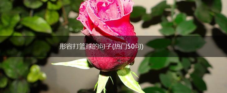形容打篮球的句子(热门50句),第1张