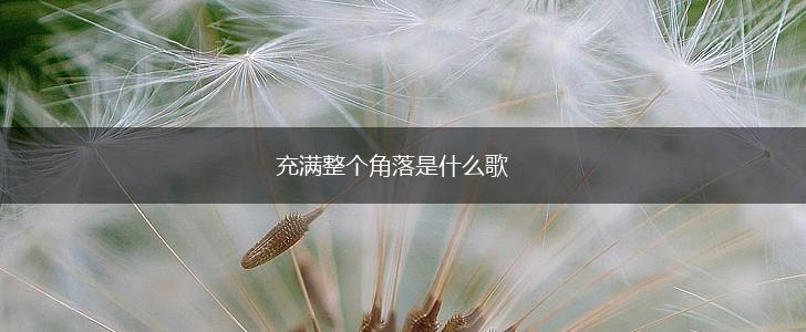 充满整个角落是什么歌,第1张