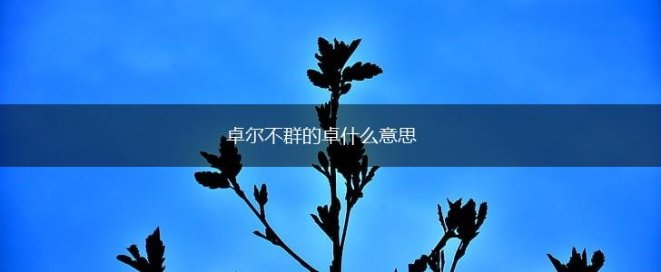 卓尔不群的卓什么意思,第1张
