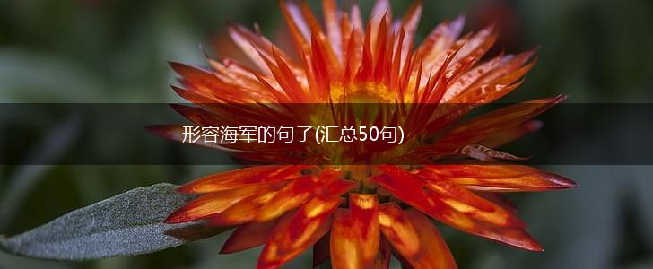 形容海军的句子(汇总50句),第1张
