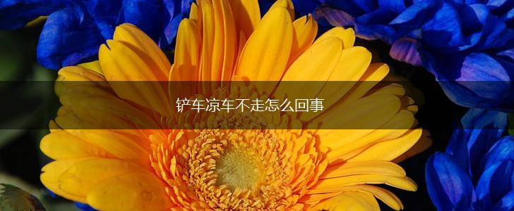 铲车凉车不走怎么回事,第1张
