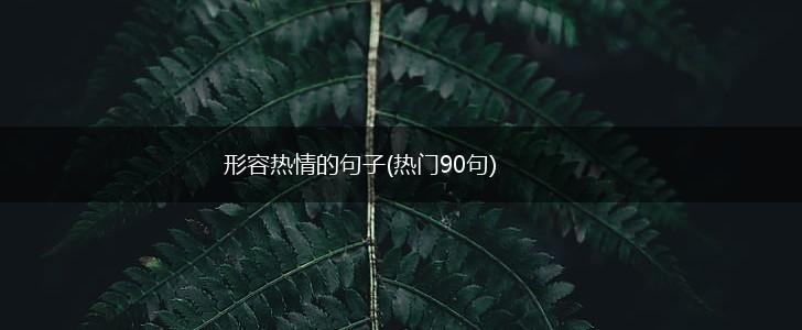 形容热情的句子(热门90句),第1张
