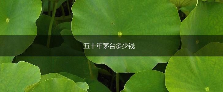 五十年茅台多少钱,第1张