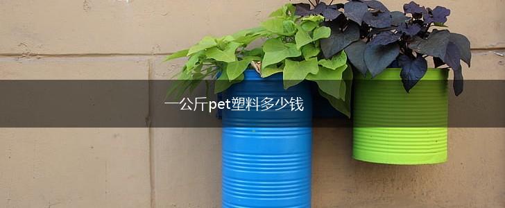 一公斤pet塑料多少钱,第1张