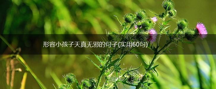形容小孩子天真无邪的句子(实用60句),第1张