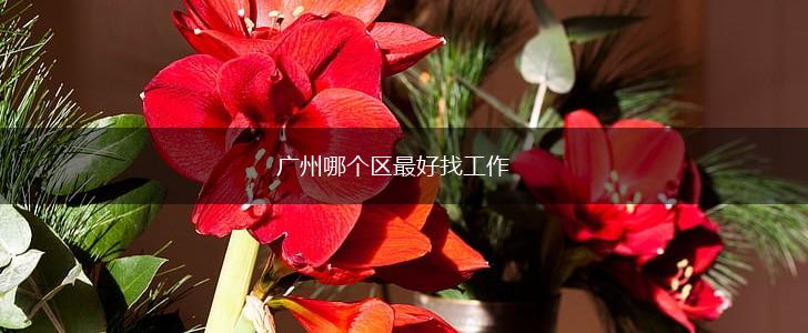 广州哪个区最好找工作,第1张