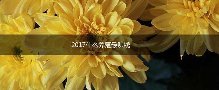 2017什么养殖最赚钱,第1张
