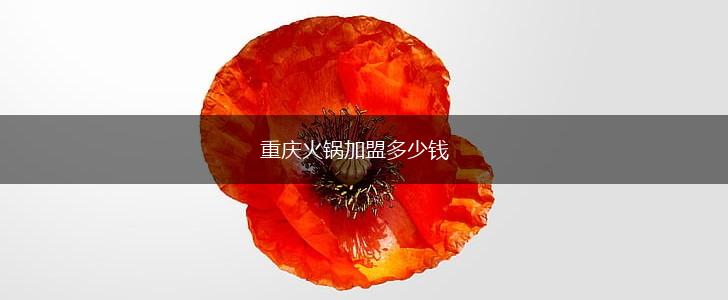重庆火锅加盟多少钱,第1张