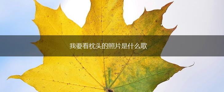 我要看枕头的照片是什么歌,第1张