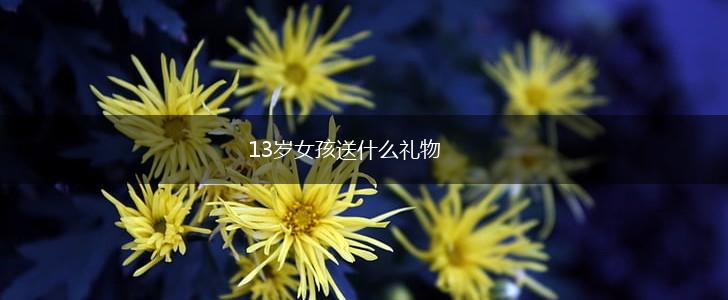 13岁女孩送什么礼物,第1张