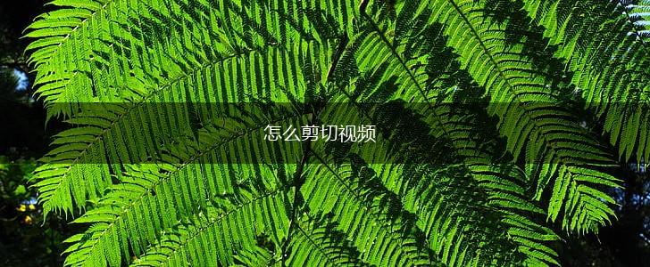 怎么剪切视频,第1张