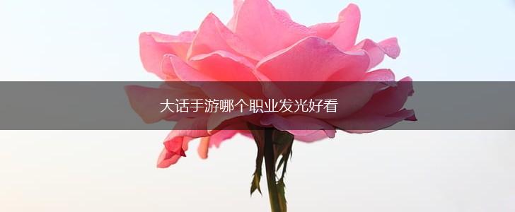 大话手游哪个职业发光好看,第1张