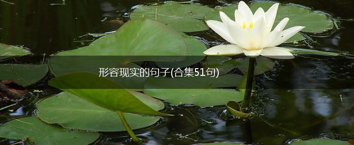 形容现实的句子(合集51句),第1张