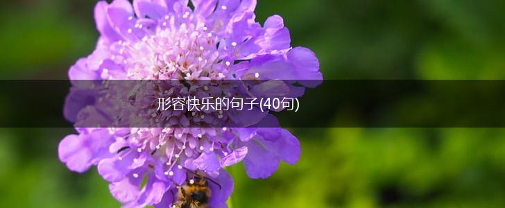 形容快乐的句子(40句),第1张