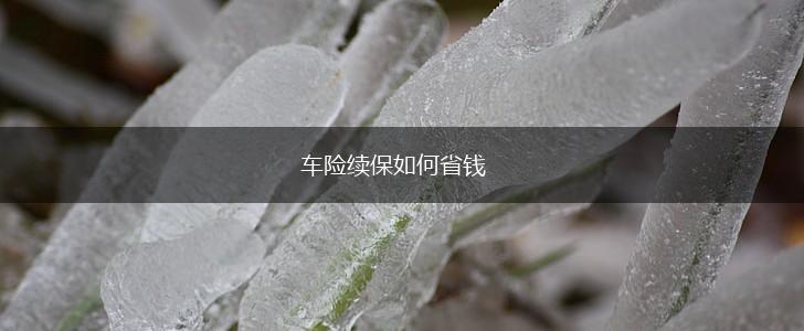 车险续保如何省钱,第1张