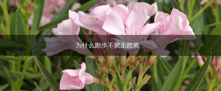 为什么跑步不累走路累,第1张