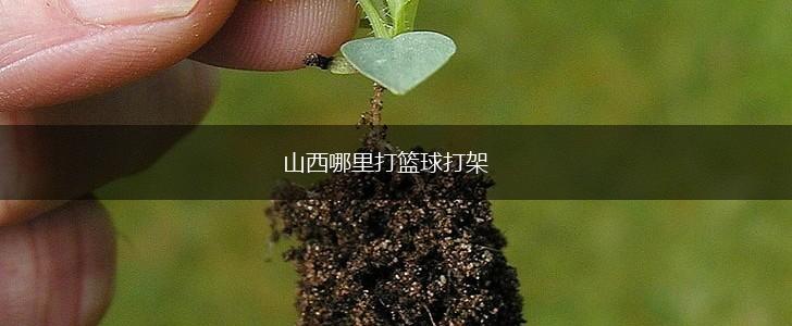 山西哪里打篮球打架,第1张