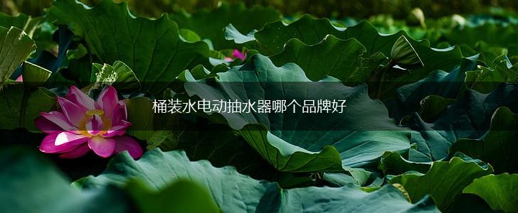 桶装水电动抽水器哪个品牌好,第1张