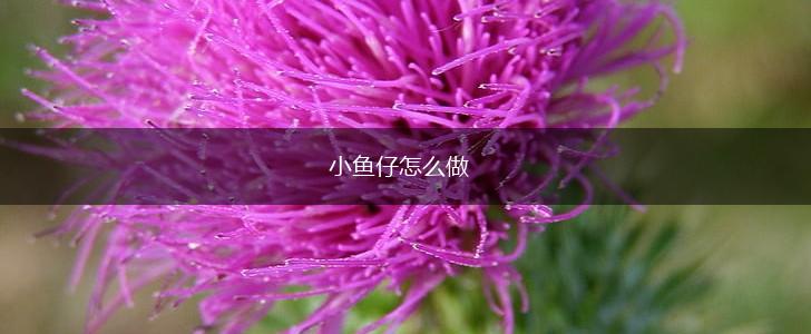 小鱼仔怎么做,第1张