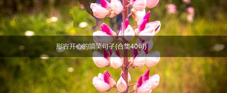 形容开心的搞笑句子(合集40句),第1张