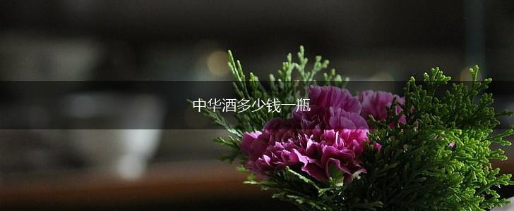 中华酒多少钱一瓶,第1张