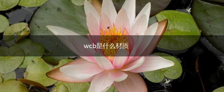 wcb是什么材质,第1张