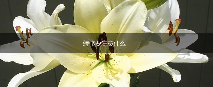 装修要注意什么,第1张