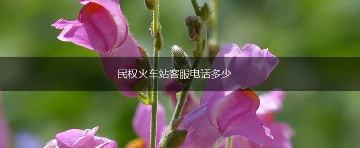 民权火车站客服电话多少,第1张