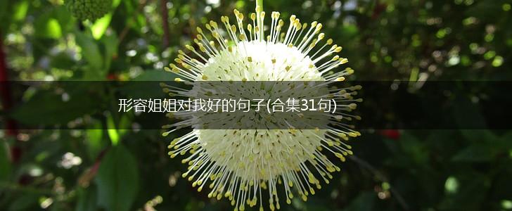 形容姐姐对我好的句子(合集31句),第1张