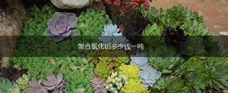 聚合氯化铝多少钱一吨,第1张