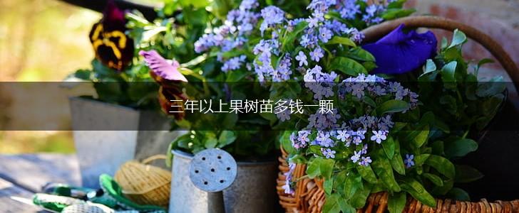 三年以上果树苗多钱一颗,第1张